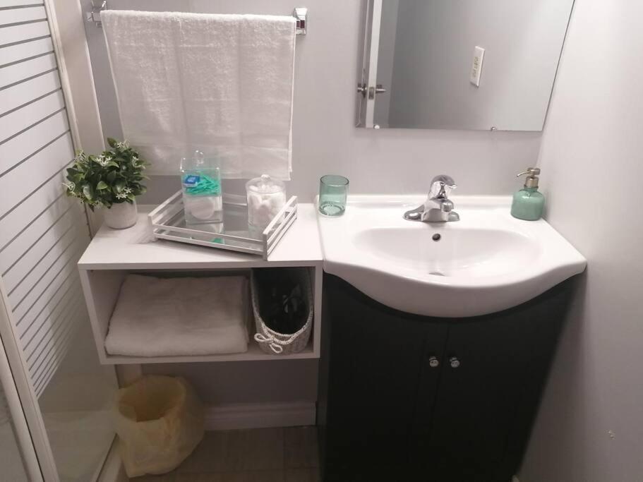 דירות המילטון Cozy Nest Basement Unit מראה חיצוני תמונה