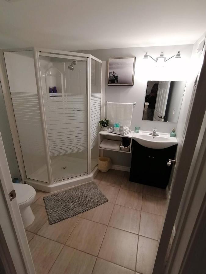 דירות המילטון Cozy Nest Basement Unit מראה חיצוני תמונה