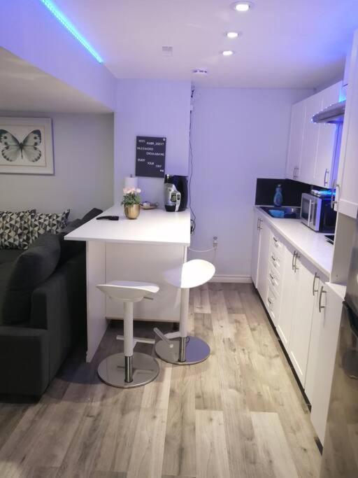 דירות המילטון Cozy Nest Basement Unit מראה חיצוני תמונה